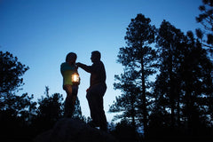 NorthStar® 1500 Lumens 1-Mantle Propane Lantern
