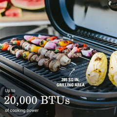 RoadTrip® 285 Portable Stand-Up Propane Grill